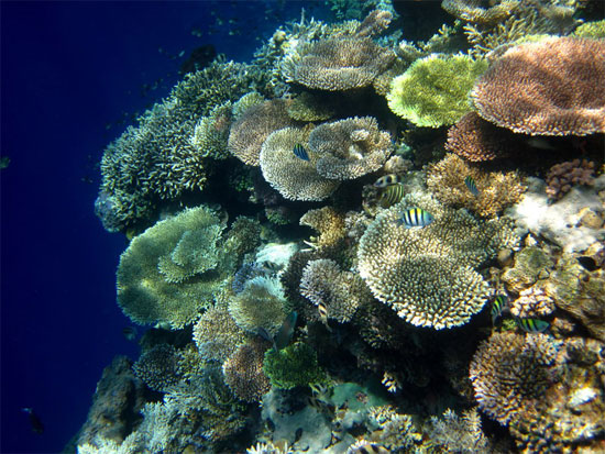 Crystal clear waters.