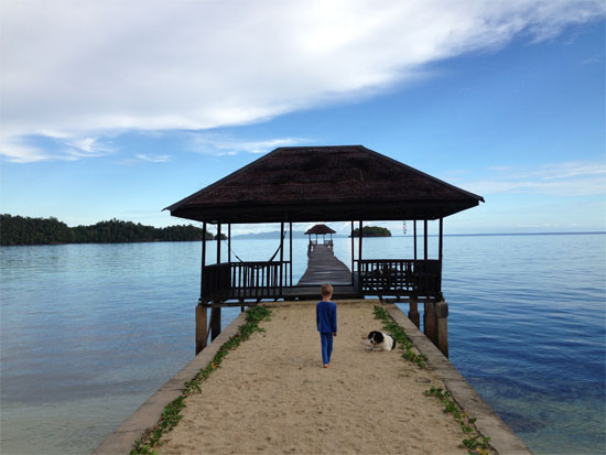 One boy, one pooch, one pier.