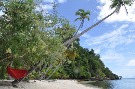 Sifa Cottage: Does that hammock have your name on it or what?