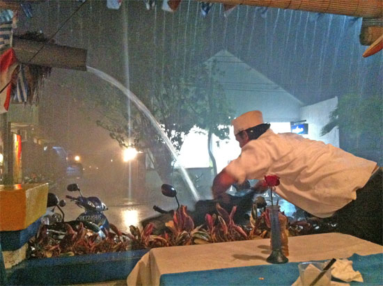 Seminyak: Free plant watering service.