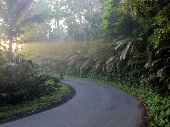 Sidemen: Post rain glory.