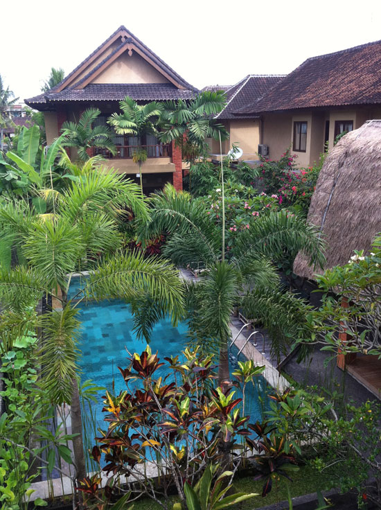 Ubud Lestari's pool -- only stay here if you can get one of the four rooms overlooking the pool.