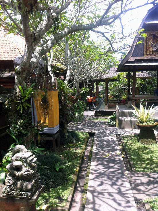 Frangipanis, sunshine and delicious food. Frangipanis, sunshine and delicious food.
