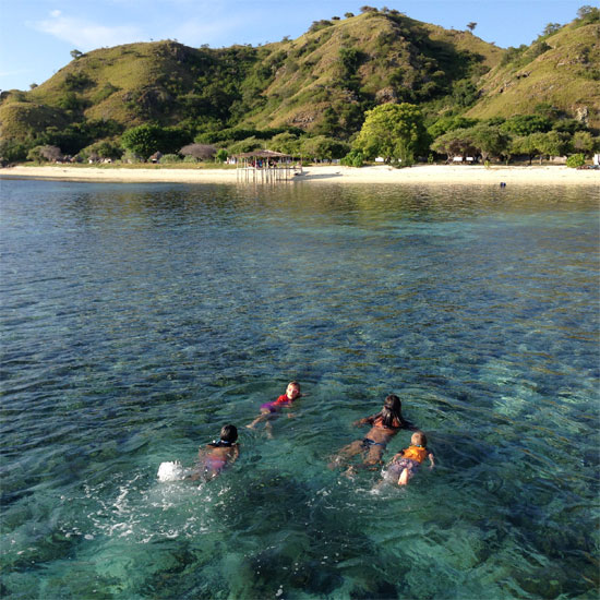 Swim home after a hard day of pier jumping.