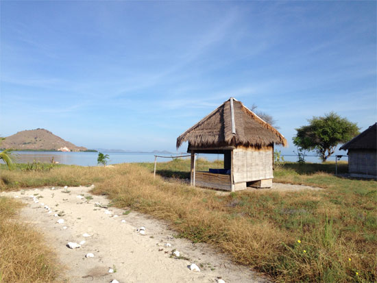 A bale bale -- pick of the bunch for budget travellers.