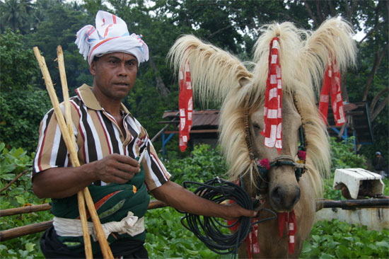 A proud rider and his beautifully decorated horse.