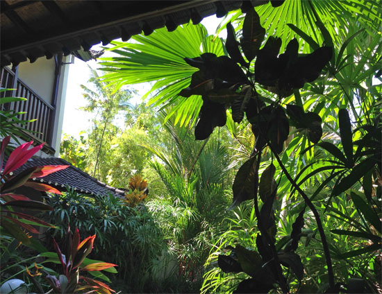 Now that is a garden view.