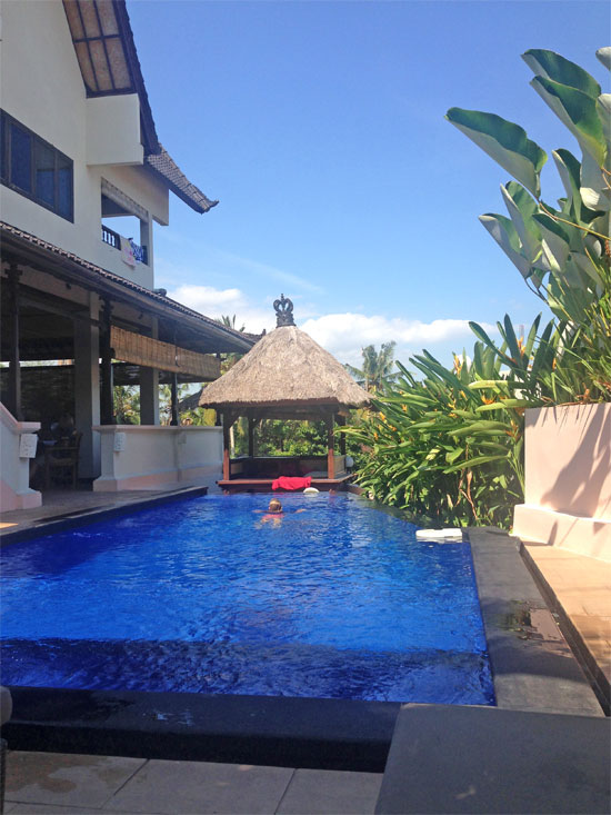 A lap pool for little people.