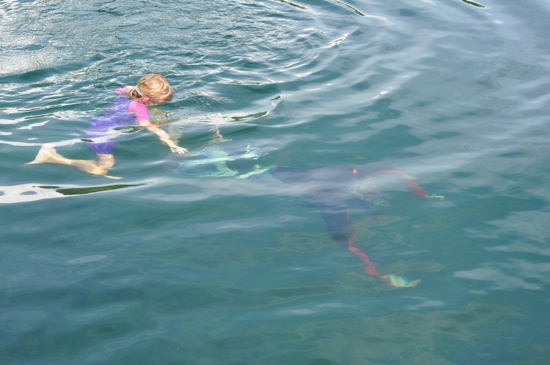 Catching some jelly fish.