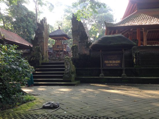 Laying around at the temple.