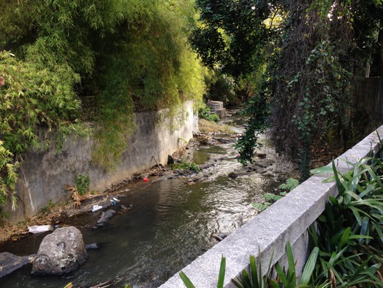 River frontage offers insight into Bali's issues.