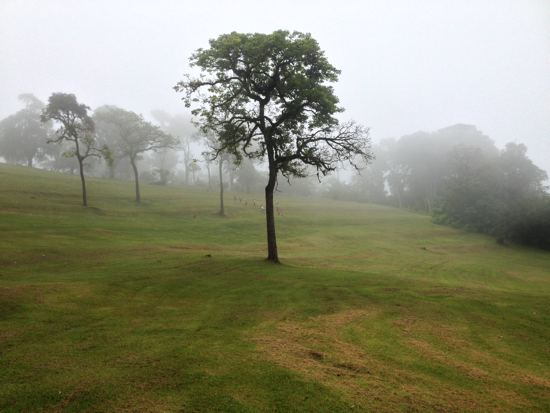 There is a lake out there somewhere.