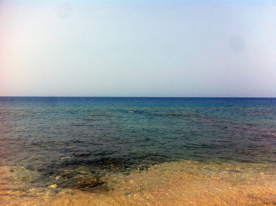 Gone snorkelling.
