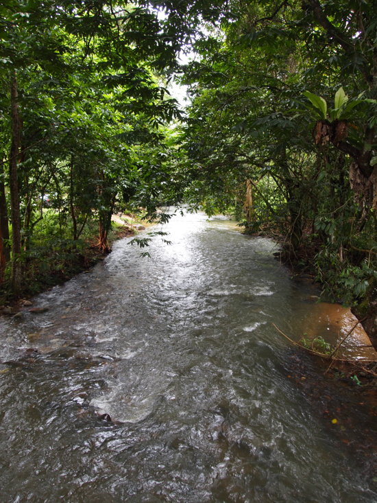 No shortage of lovely streams. No shortage of lovely streams.