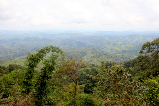 The hills in these parts seem to stretch on forever The hills in these parts seem to stretch on forever