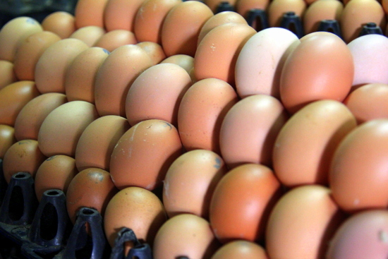 Eggs are an important ingredient in many Lao dishes Eggs are an important ingredient in many Lao dishes