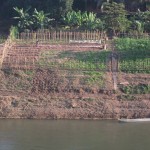 Going for a dip in Luang Prabang's Khan River