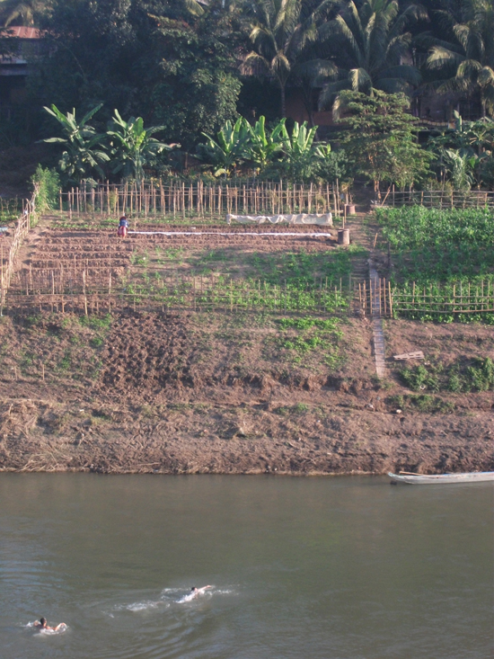 Going for a dip in Luang Prabang's Khan River