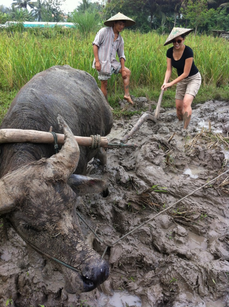 Tours in Luang Prabang