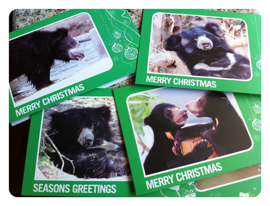 Support Free the Bears by buying their locally made teddy bears, T-shirts and holiday cards.