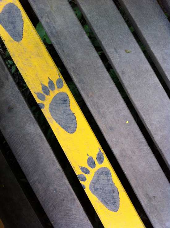 Boardwalk at the Tat Kuang Si Bear Rescue Centre.