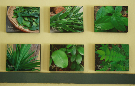 Photos explain some of the aromatic plants used in the sauna.