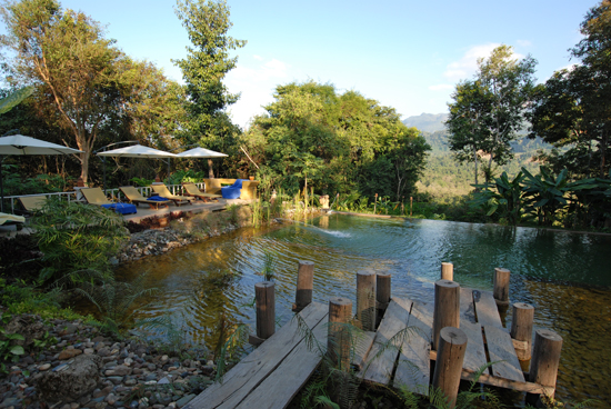 LP_ZenNK_pool2_CindyFan_550