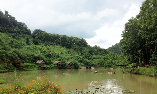 LP_TadThongLake_CindyFan_550