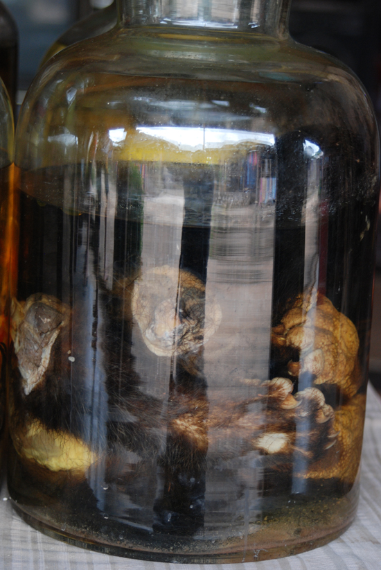 Bear paw whiskey, a sad reality. Do not buy.