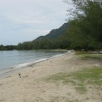 Lots of shade available and car parking.