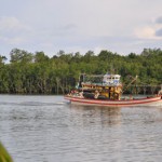 There be dragons in them there mangroves.