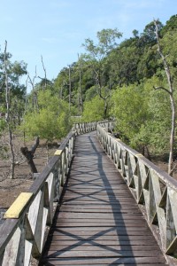 A very family friendly trail.