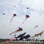Kites!