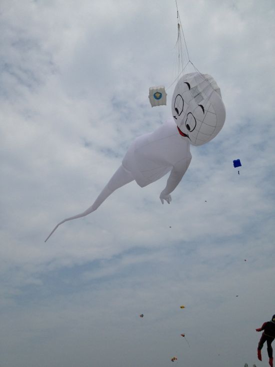 What a friendly kite.