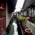 Pot gardens are a particular feature of the Chew Jetty.