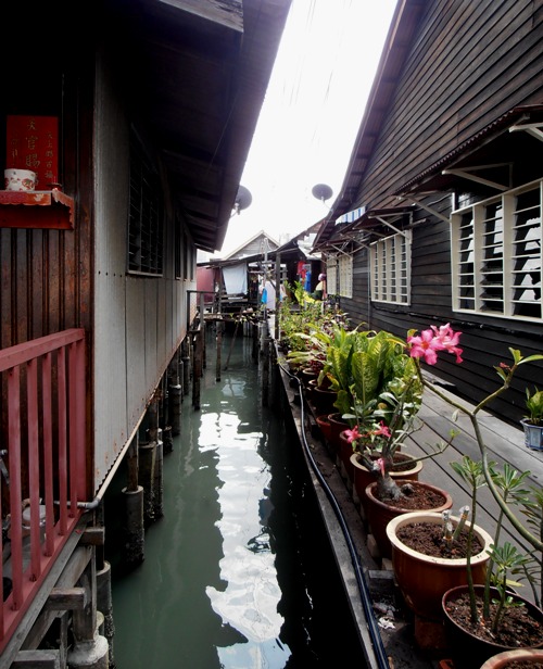 Pot gardens are a particular feature of the Chew Jetty.
