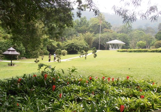 The band stand sits in undulating green lawns, surrounded by the rainforest.