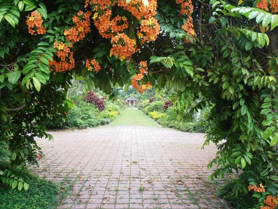 The formal gardens, in traditional English style.