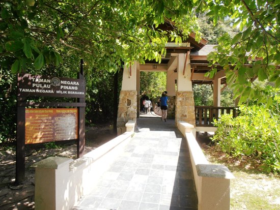 The entrance to the park, where the concrete path ends and nature takes over.