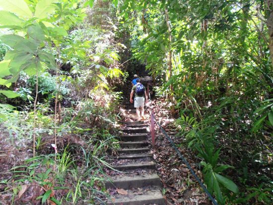 Climbing through the jungle is thirsty work, but is worth the effort.