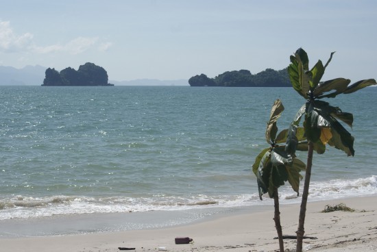 The beauty of an undeveloped beach awaits.