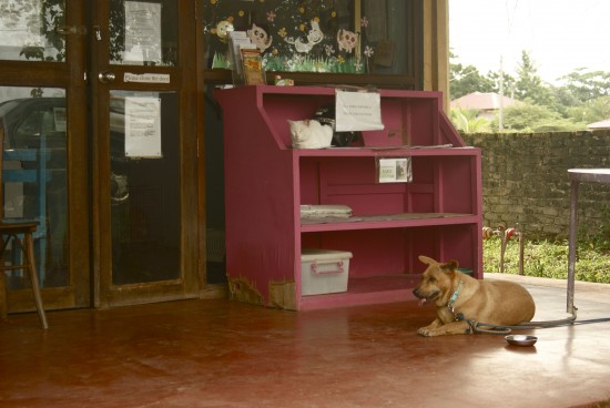 The secretaries ensures ample information available.