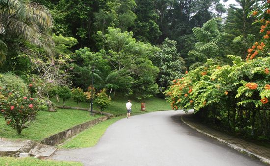Escape the stuffy Georgetown streets in the wide open spaces at the Botanic Gardens.