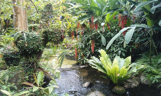 With its streams, ponds, grottoes and lush foliage, you could almost believe that you are in a real butterfly-infested jungle.