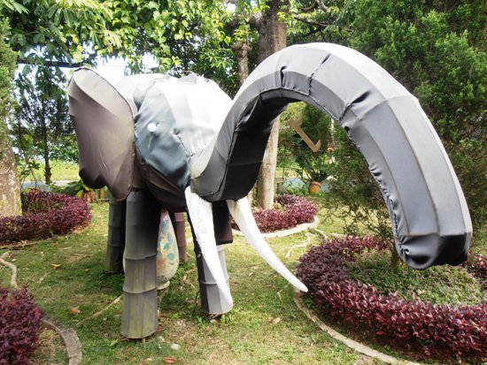 Cloth-eared elephant.