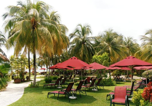 The sunloungers at Park Royal Resort are more comfortable than a towel on the beach, and are cheaper to use than you might think.