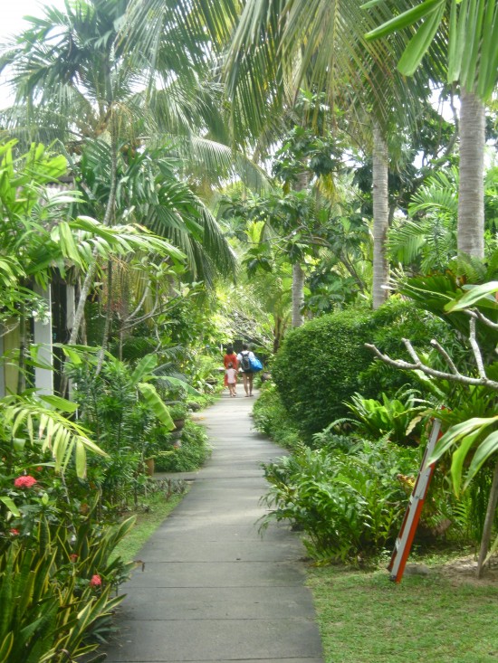 The ultimate tropical walkway.