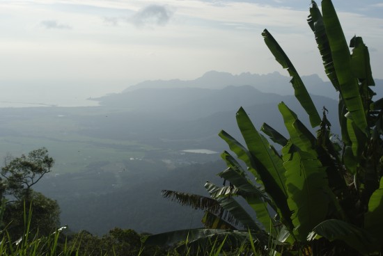 The panoramic vista from Gunung Raya.
