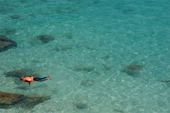 Snorkelling.