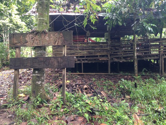 Lupa Masa: Jungle Kamp.